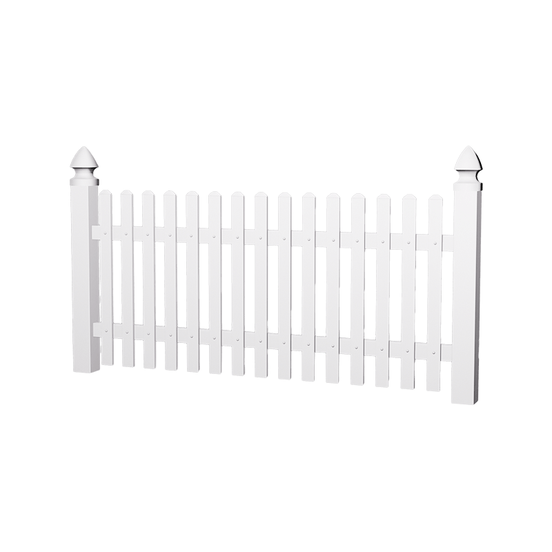 HAE1 Традиционная собачья ушная пикет